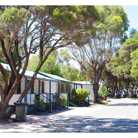 Discovery Parks - Coogee Beach Екстер'єр фото
