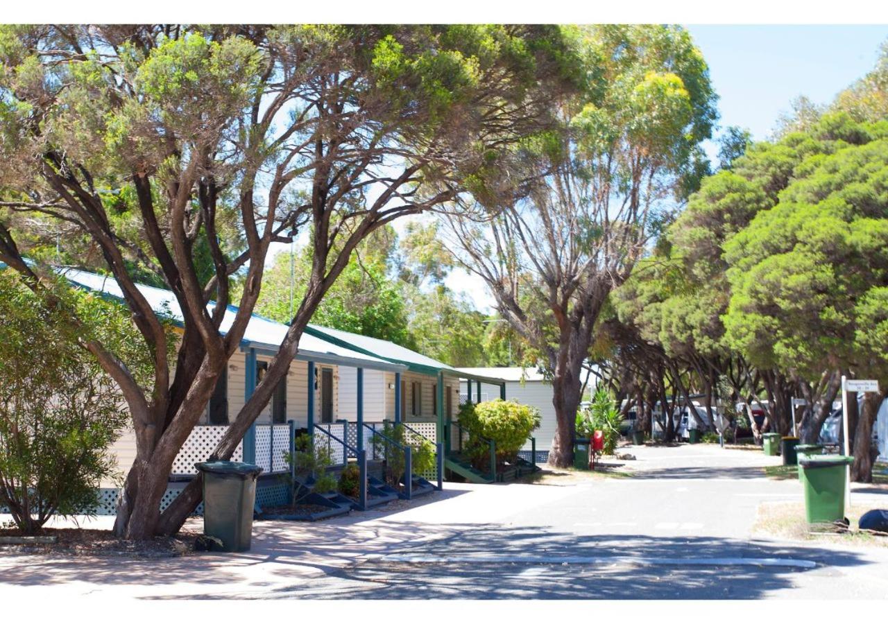 Discovery Parks - Coogee Beach Екстер'єр фото